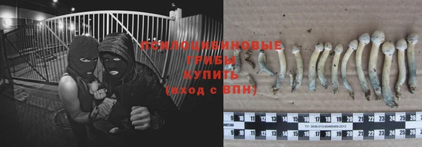 бошки Баксан