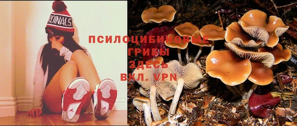 стафф Белокуриха