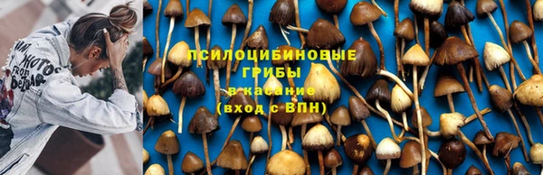соль ск Балабаново