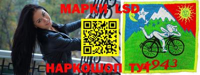 дмт Кимры