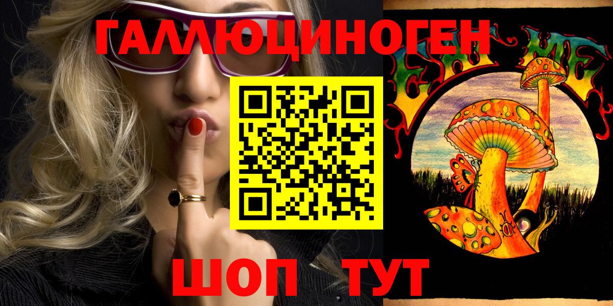 Псилоцибиновые грибы Psilocybe  Вход с VPN  Кувандык 